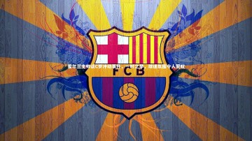 fbapp|爱尔兰主帅谈C罗冲动事件，一时之举，球迷氛围令人赞叹