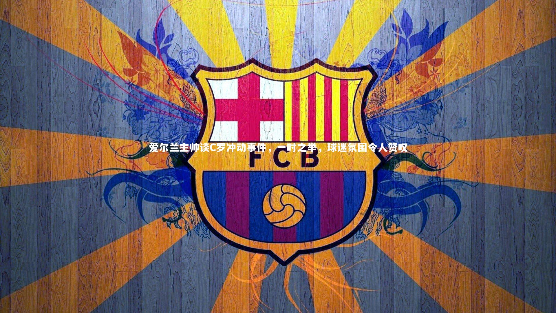 爱尔兰主帅谈C罗冲动事件,一时之举,球迷氛围令人赞叹