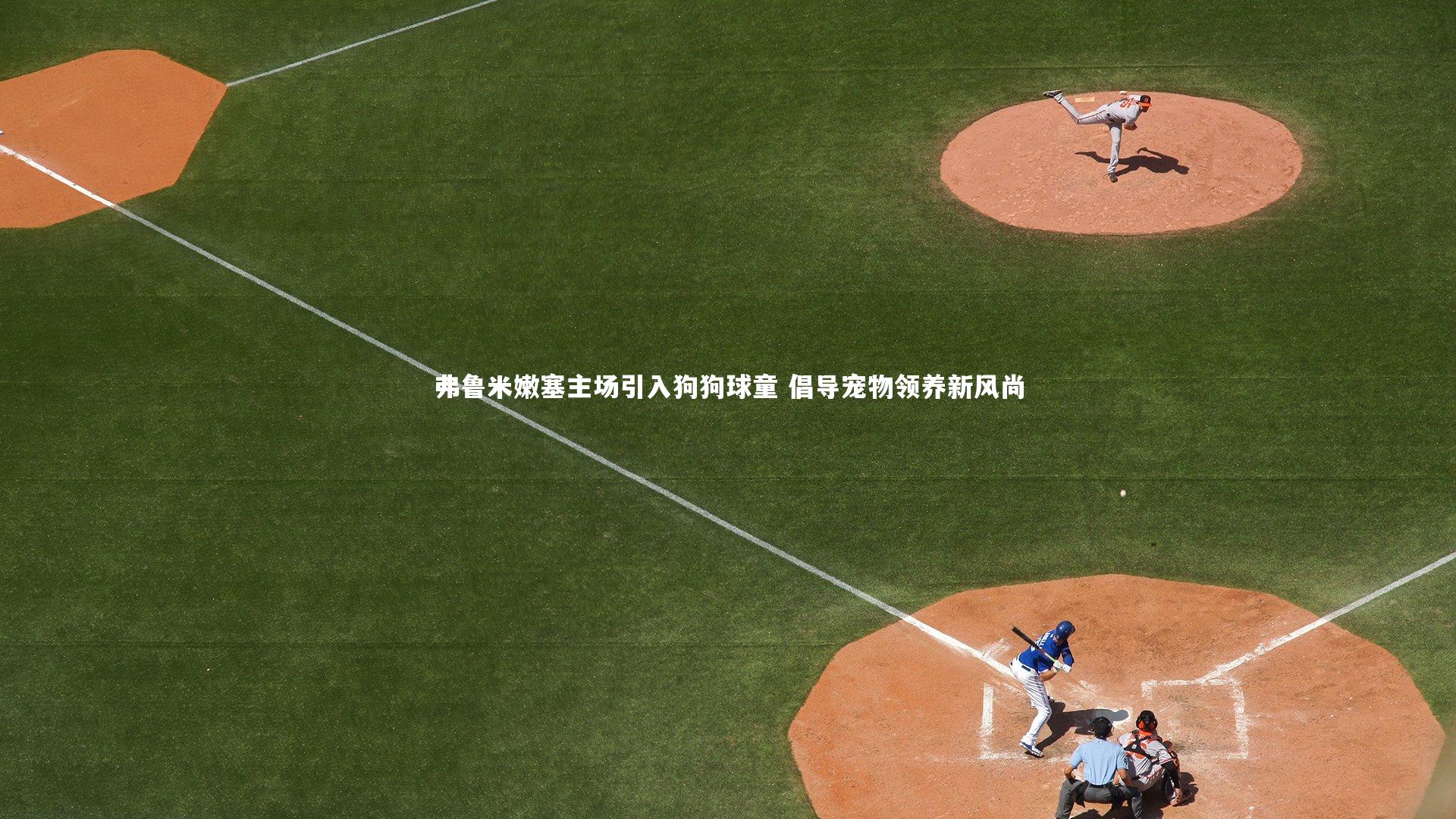 弗鲁米嫩塞主场引入狗狗球童 倡导宠物领养新风尚